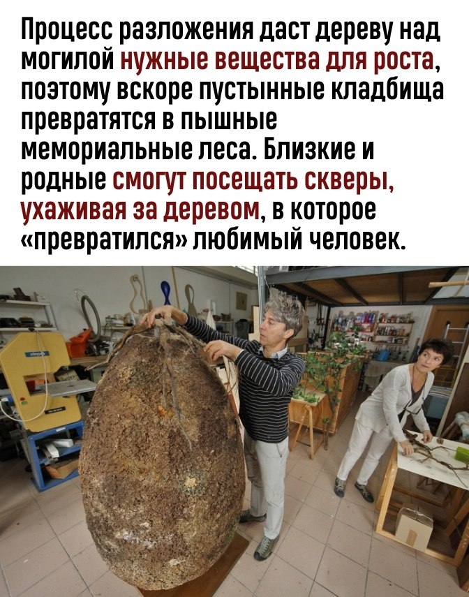    ? - 3