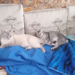 ���� �������, ������, 34 ���� - ��������� 17 ������ 2023