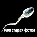 ���� �����, ������, 39 ��� - ��������� 18 ������� 2023 � ������ ���� ����������