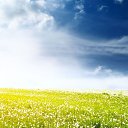 ���� �������, ����, 62 ���� - ��������� 22 ������� 2022 � ������ ���� ����������