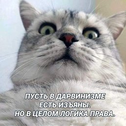 , , 67 