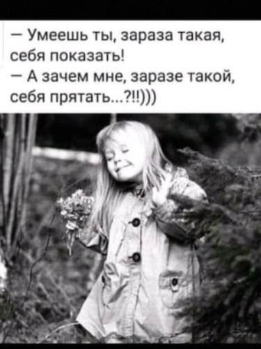   ! - 29  2022  11:33