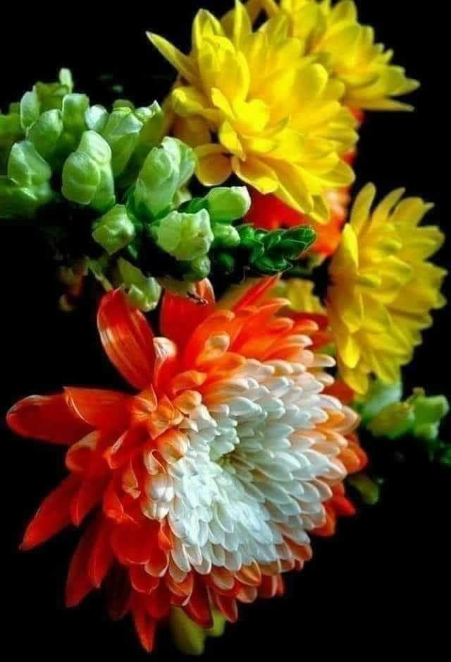 :) Какими люди странными бывают: Сегодня ценят, завтра убивают, Сегодня смотрят на тебя с любовью, А ...
