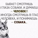 ���� ������, ��������, 58 ��� - ��������� 14 ������� 2022