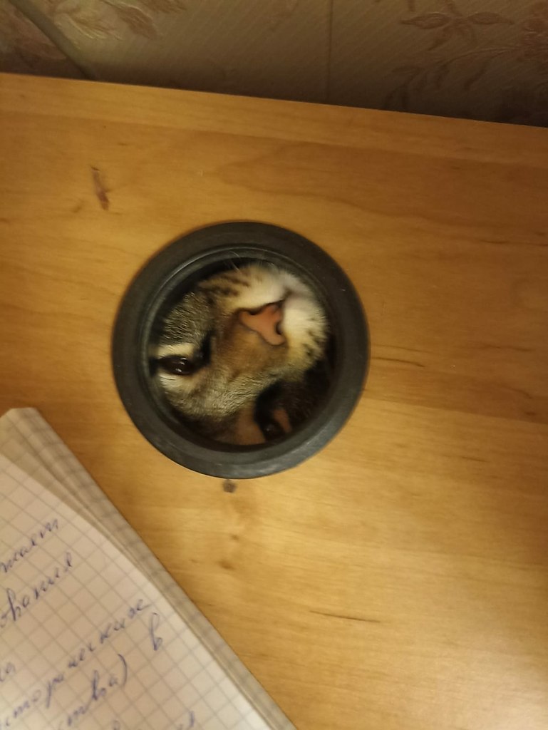      , ?