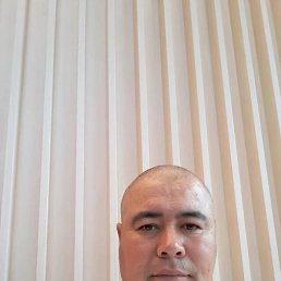 ������, ���, 46 ���