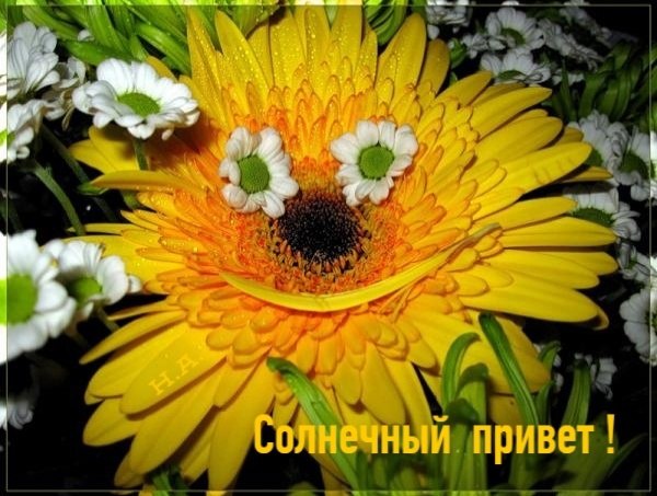   ,    . - 29  2022  09:59