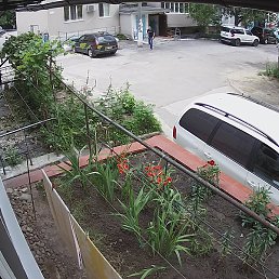 Igor, �������, 33 ����