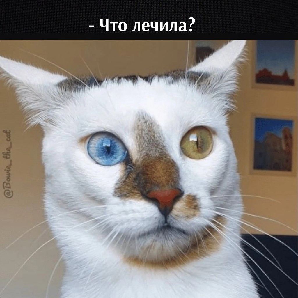       - 22  2022  15:42 - 3