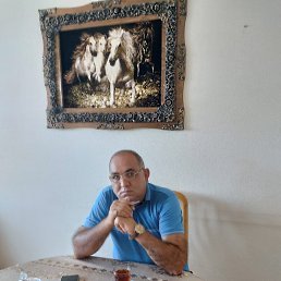 ���� ����, ������, 53 ���� - ��������� 2 ������� 2022