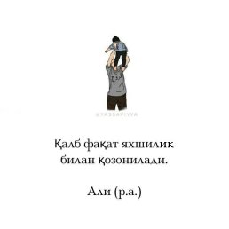 ���� ���, �������, 38 ��� - ��������� 11 ������� 2023