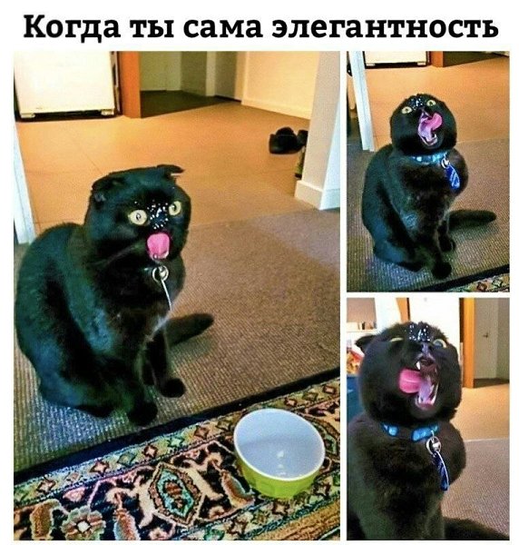    - 1  2022  12:12