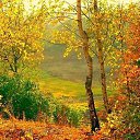 ���� �����, ����������� - ��������� 8 �������� 2022 � ������ ������ ��������