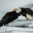 ���� �������, ��������, 49 ��� - ��������� 23 ������� 2022 � ������ ���� ����������