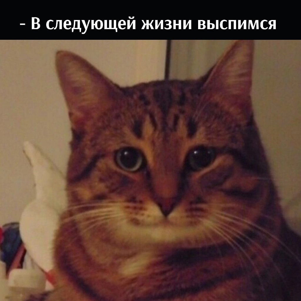       - 3  2022  16:39 - 2