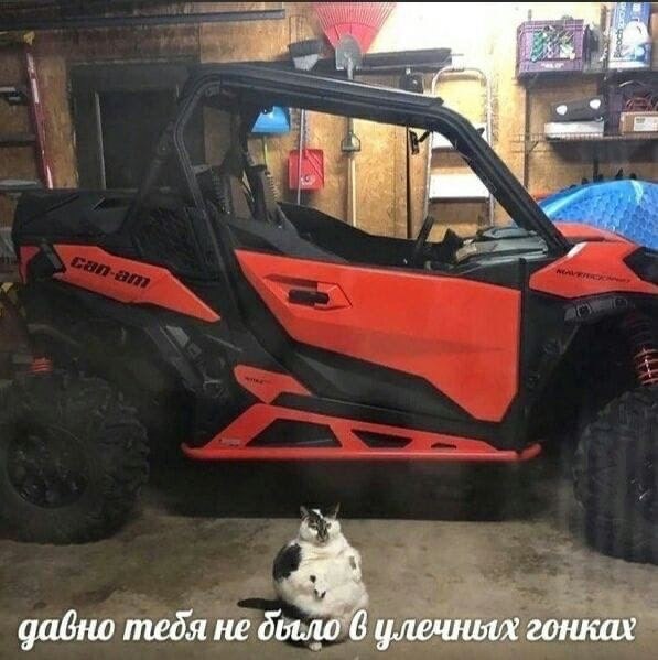    - 7  2022  08:36
