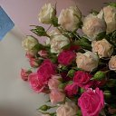 ���� �����, ����������, 61 ��� - ��������� 30 ���� 2022 � ������ ���� ����������