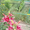 ���� �������, ����, 70 ��� - ��������� 15 ������� 2023 � ������ ���� ����������