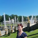 ���� ������, �����, 73 ���� - ��������� 4 ������ 2022 � ������ ���� ����������