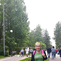 ���� ������, �����-���������, 79 ��� - ��������� 29 ���� 2022