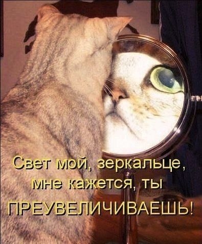    - 13  2022  17:16
