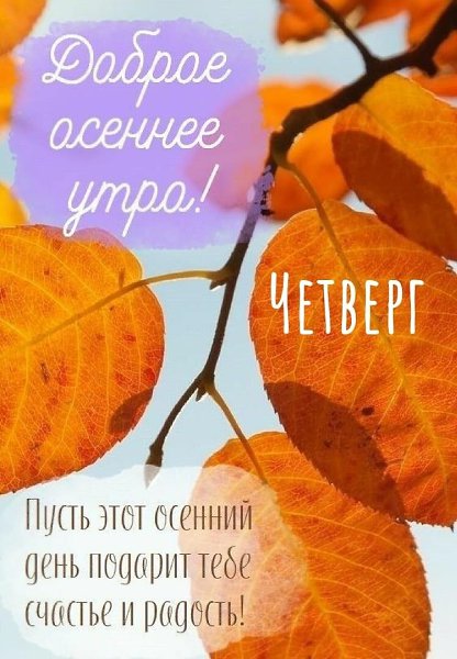 ***Victoria Viktorovna*** - 13  2022  04:26