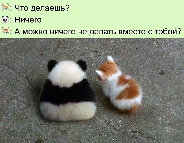   :D - 13  2022  12:07