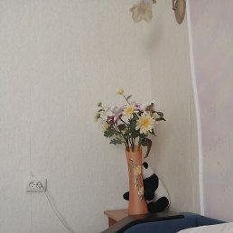 ����, ������, 60 ���