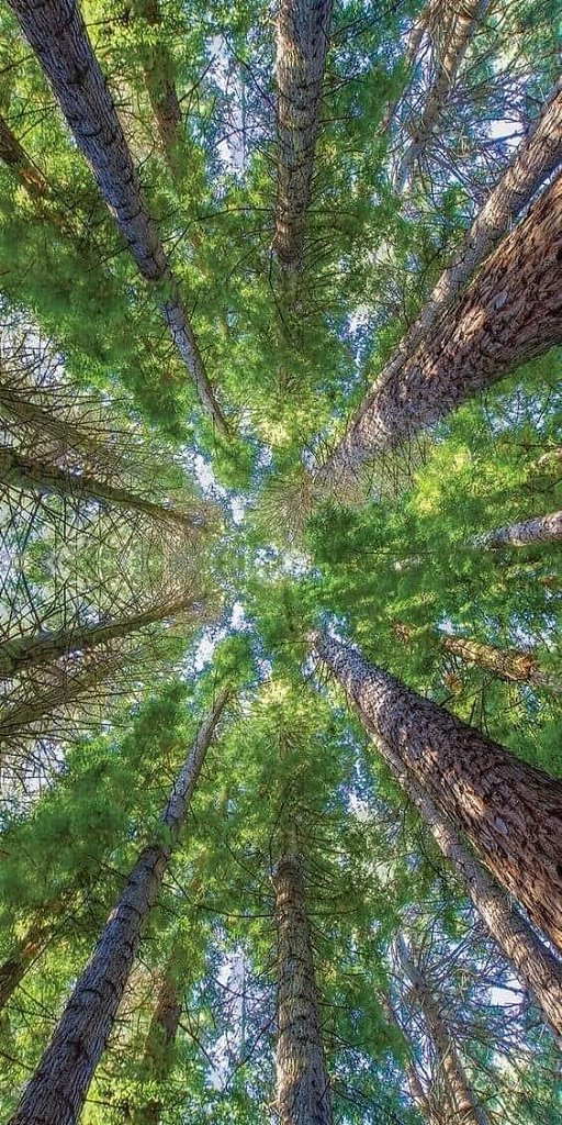 НИКТО О ВАС НЕ ДУМАЕТ. Давным-давно, в годы полной сомнений молодости, я встретила умную, ...