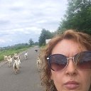 ���� ��������, �����-���������, 47 ��� - ��������� 30 ������ 2022 � ������ ���� ����������