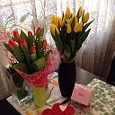 ���� Vcvet, ������� - ��������� 20 ������� 2023 � ������ ���� ����������