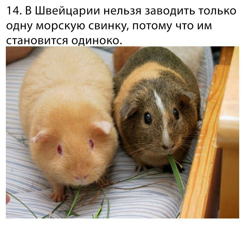    - 3  2022  00:30