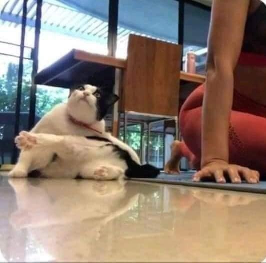  - !!!