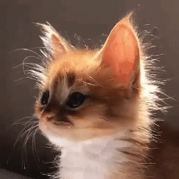 ���� �����, ���������, 62 ���� - ��������� 25 ������ 2023