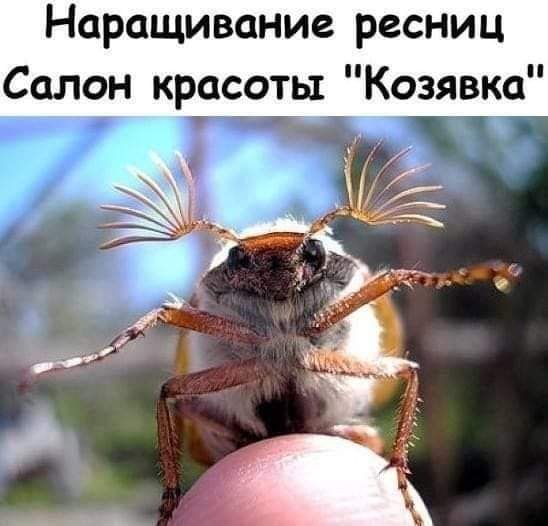 :)