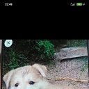 ���� ���� 19����67����., ������-��-����, 58 ��� - ��������� 11 ������ 2023