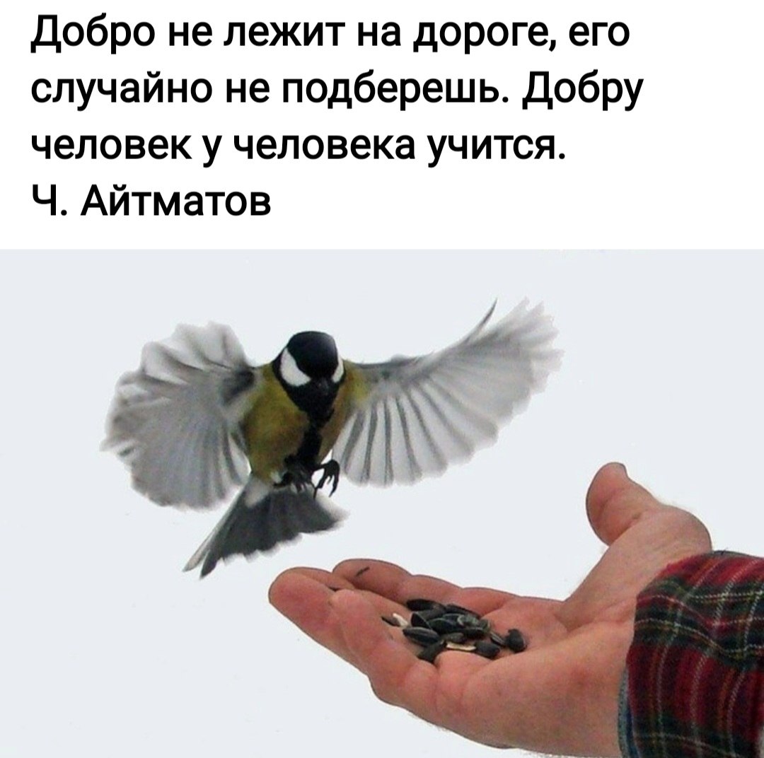 *T* - 2  2022  11:52