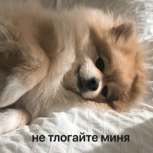    - 14  2022  12:36