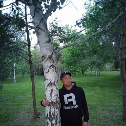 ���, ����, 44 ����