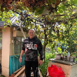 ���� ������, ���������, 68 ��� - ��������� 23 ������� 2022