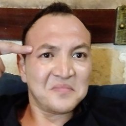 ������, �����������, 37 ���