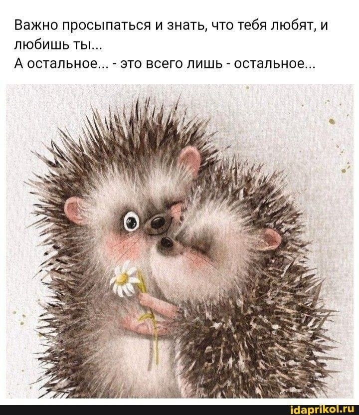  - 4  2022  04:48 - 2