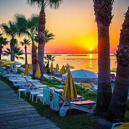 �����, ������, 46 ���