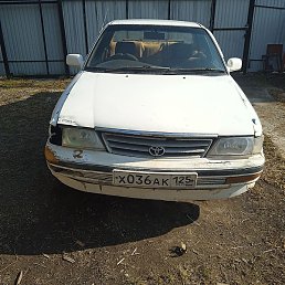 ���������, �����������, 61 ���