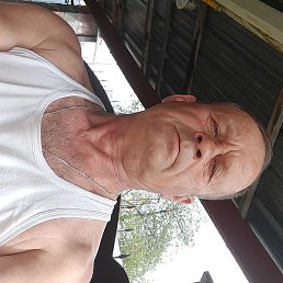 ���������, ������, 65 ���