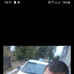 ������, �������, 40 ���