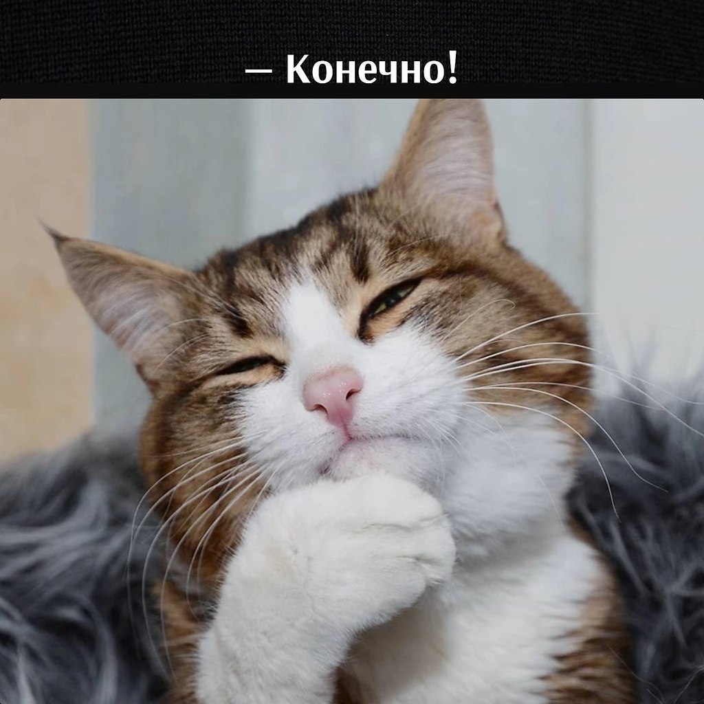       - 1  2023  11:24 - 2