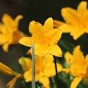  Nikolay,  -  28  2022    