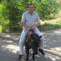 ���� ��������, ������, 51 ��� - ��������� 1 ������ 2023