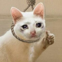 ������, ��������, 35 ���